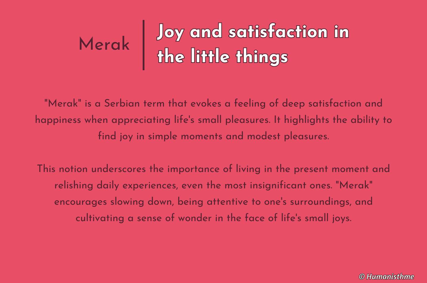 Merak | Joie Et Satisfaction Dans Les Petites Choses